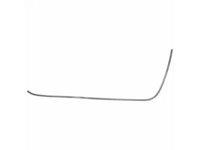 2L1Z-78253A20-AA Ford Retainer - Weatherstrip, Passenger Side Product Photo 1 of 1