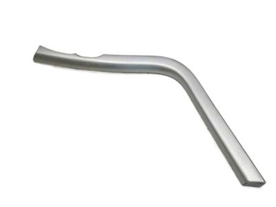 BT4Z-78061A16-AA Ford Bezel, Passenger Side Product Photo 2 of 4
