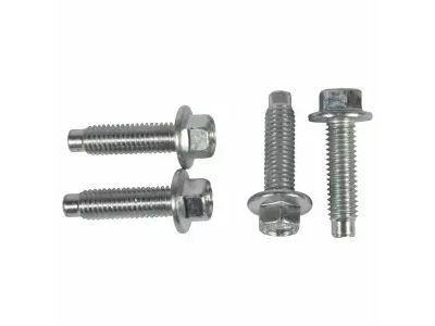 -W500624-S437 Ford Screw Product Photo 1 of 2