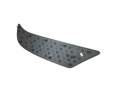 Ford 1L5Z-17B807-AAB Pad - Bumper