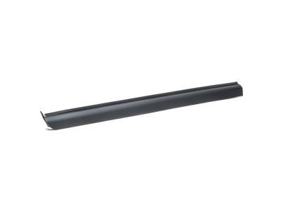 Ford 6L5Z-1021452-AA Weatherstrip Assembly - Door Window