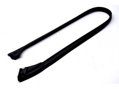 Ford F6DZ-5420557-BC Seal - Door Front And Rear