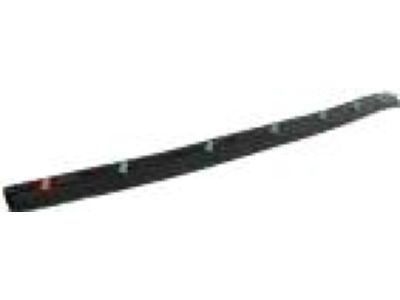 FR3Z-16A238-D Ford Weatherstrip, Passenger Side Product Photo 3 of 4