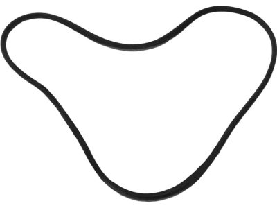 Ford BM5Z-58253A11-A Weatherstrip - Door Opening, Driver Side BM5Z-58253A11-A Ford Weatherstrip - Door Opening, Driver Side Product Photo 1 of 1