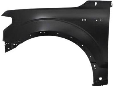 Ford JL3Z-16006-C Fender Assembly - Front, Driver Side JL3Z-16006-C Ford Fender Assembly - Front, Driver Side Product Photo 1 of 1