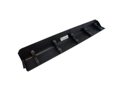 Ford AG1Z-5425557-AA Molding - Door Outside