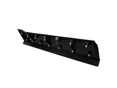 Ford FT4Z-5820878-DC Molding - Door Outside