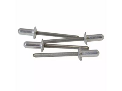 -W701480-S437 Ford Rivet Product Photo 1 of 2