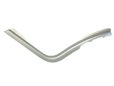 Ford DT4Z-78061A16-AA Bezel