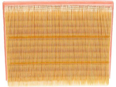 Lincoln DS7Z-9601-D Element Assembly - Air Cleaner
