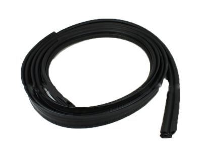 Ford 2C7Z-78404A06-AA Weatherstrip - Door Opening