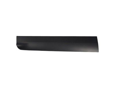 Ford JJ5Z-7820879-AA Molding - Door Outside