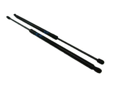Lincoln Liftgate Lift Support - AE9Z-74406A11-A