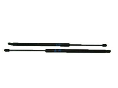 Lincoln Liftgate Lift Support - AE9Z-74406A11-A