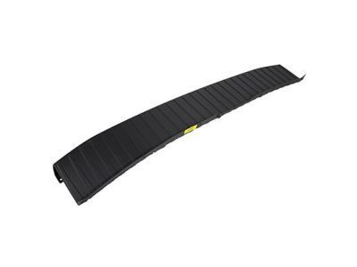 Ford CK4Z-17C829-CC Moulding - Bumper Protection