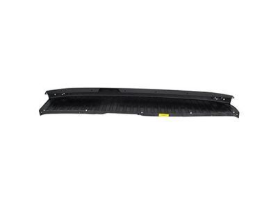 Ford CK4Z-17C829-CC Moulding - Bumper Protection