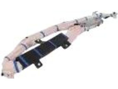 Ford FR3Z-63042D94-A Curtain Assembly, Passenger Side FR3Z-63042D94-A Ford Curtain Assembly, Passenger Side Product Photo 1 of 4