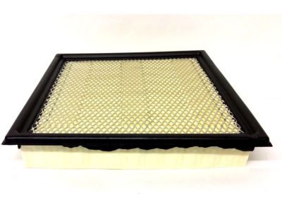 Ford 7C3Z-9601-A Element Assembly - Air Cleaner