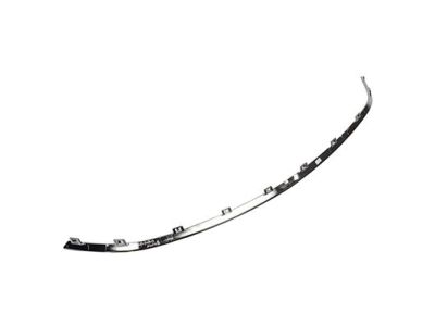 Lincoln DP5Z-8419-AA Panel - Finish