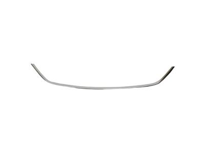 Lincoln DP5Z-8419-AA Panel - Finish