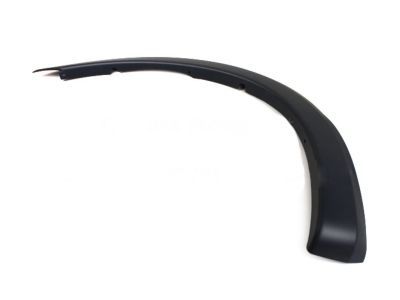 Ford 3C3Z-16039-BAPTM Moulding