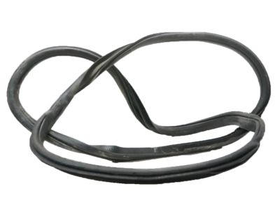 Ford FL3Z-1520709-A Weatherstrip Assy - Door Opening