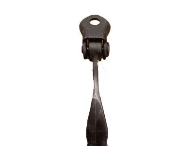Ford FL3Z-1623552-A Check Assembly - Door