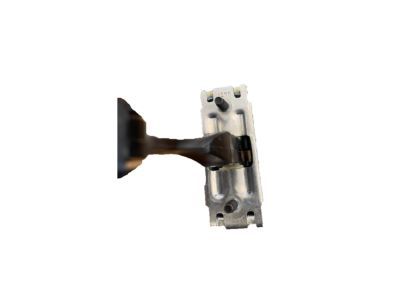 Ford FL3Z-1623552-A Check Assembly - Door