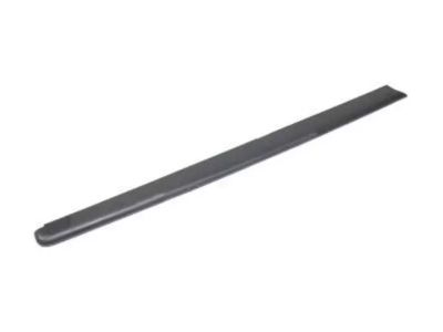 F65Z-99291A40-BAA Ford Moulding, Passenger Side Product Photo 1 of 2