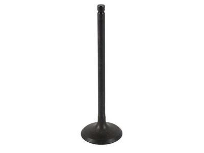 Lincoln Intake Valve - 1S7Z-6507-B
