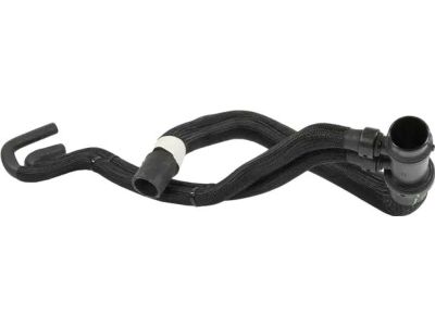 Ford HC3Z-8286-F Hose Assembly, Lower HC3Z-8286-F Ford Hose Assembly, Lower Product Photo 1 of 3