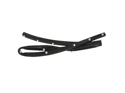 Ford BT4Z-16A238-A Front Seal BT4Z-16A238-A Ford Front Seal Product Photo 1 of 2