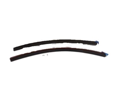 Ford 5S4Z-5425324-A Weatherstrip - Door Lower
