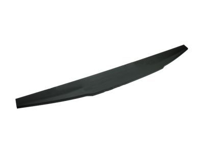 Ford HC3Z-9941018-AD Moulding