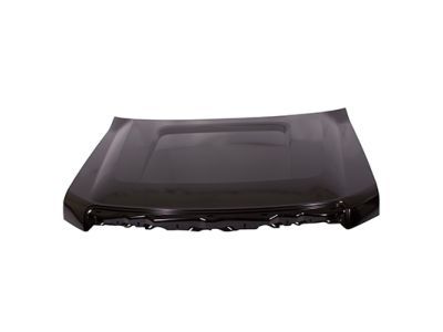 9L3Z-16612-A Ford Hood, Front Product Photo 2 of 4