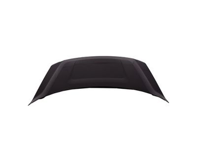 9L3Z-16612-A Ford Hood, Front Product Photo 4 of 4