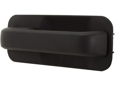 Ford FL3Z-1522404-AJ Handle Assembly - Door Outer