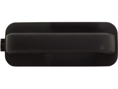 Ford FL3Z-1522404-AJ Handle Assembly - Door Outer