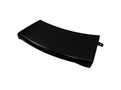 Ford 6L2Z-16038-BAPTM Molding - Bumper Bar