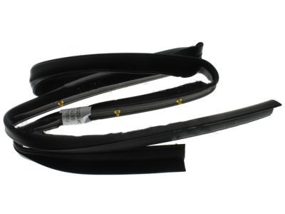 Ford FL3Z-1620758-B Weatherstrip - Door Lower