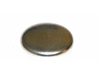 Mercury -W709902-S300 Plug - Expansion