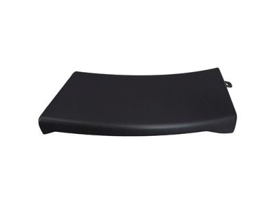 Ford 7A2Z-16038-BA Molding - Bumper Bar