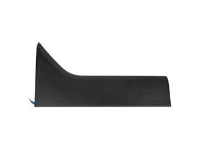 DT1Z-1720939-BA Ford Front Molding, Driver Side Product Photo 2 of 2