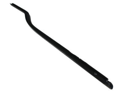 Ford F81Z-2521453-AA Weatherstrip Assembly - Door Window
