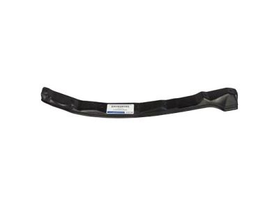 DP5Z-5420520-A Ford Front Weatherstrip, Passenger Side Product Photo 3 of 3