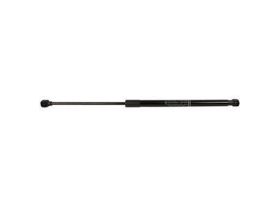 Ford GN1Z-74406A10-B Lift Assembly - Tailgate - Gas