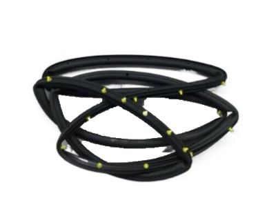 Ford CJ5Z-7825324-A Weatherstrip