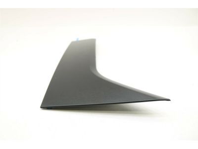 DT1Z-1720938-BA Ford Front Molding, Passenger Side Product Photo 2 of 3