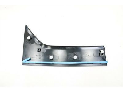 DT1Z-1720938-BA Ford Front Molding, Passenger Side Product Photo 1 of 3