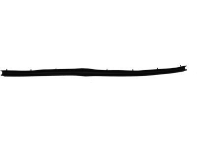 Ford F81Z-2520758-AA Weatherstrip - Door Lower